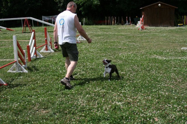 agility 2009-07-14