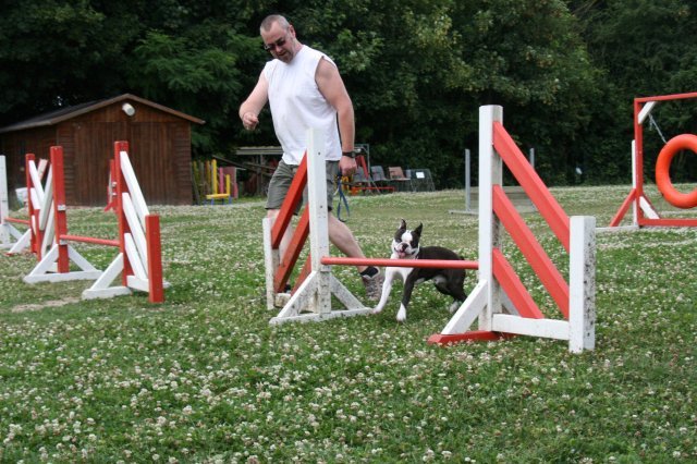 agility 2009-07-14
