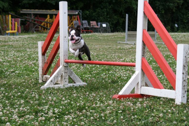 agility 2009-07-14