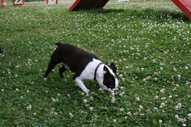 agility 2009-07-14