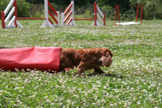 2009-07-14