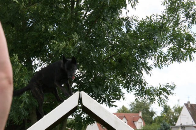 agility 2009-07-14