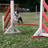 agility 2009-07-14