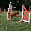agility 2009-07-14