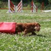 agility 2009-07-14