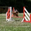 agility 2009-07-14