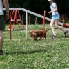 agility 2009-07-14
