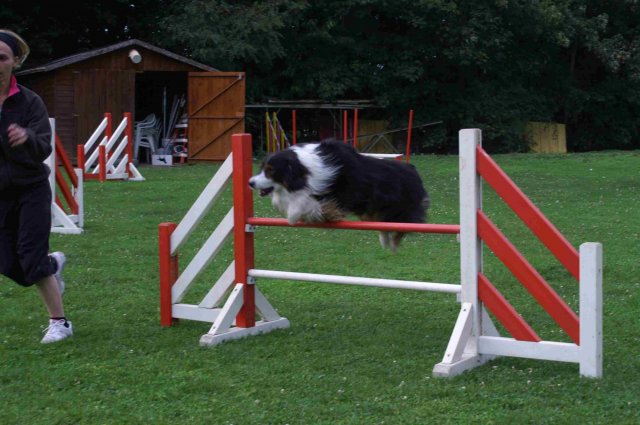 agility 2011-09-20