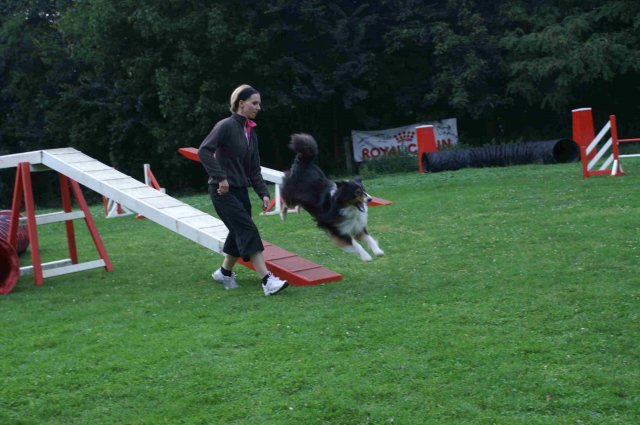 agility 2011-09-20
