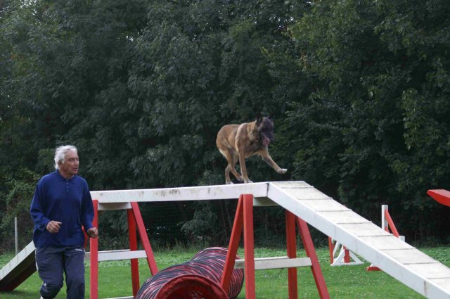 agility 2011-09-20