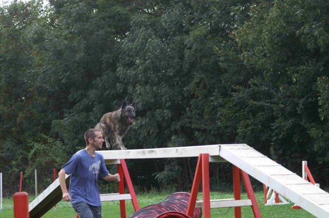 agility 2011-09-20