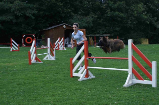 agility 2011-09-20