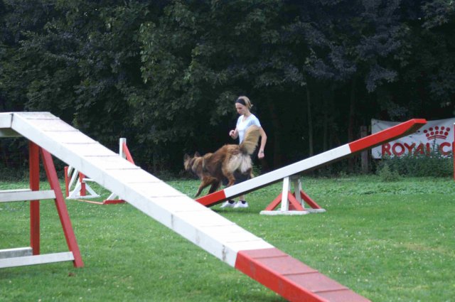 agility 2011-09-20
