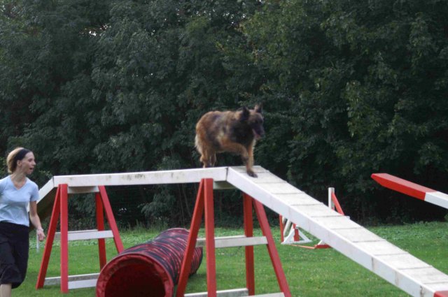 agility 2011-09-20