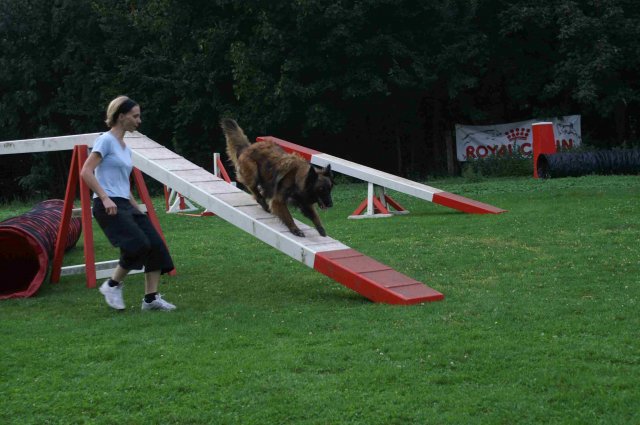 agility 2011-09-20