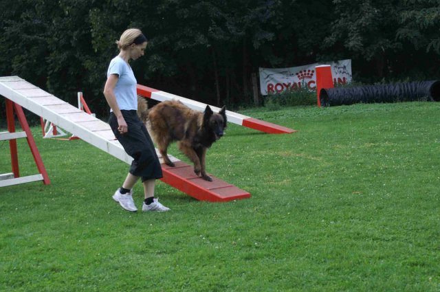 agility 2011-09-20