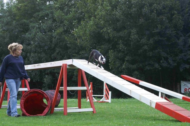 agility 2011-09-20