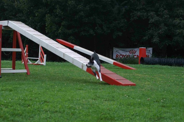 agility 2011-09-20