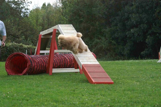 agility 2011-09-20
