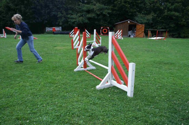 agility 2011-09-20