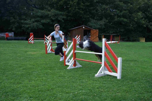 agility 2011-09-20
