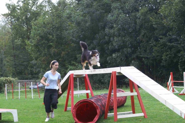agility 2011-09-20