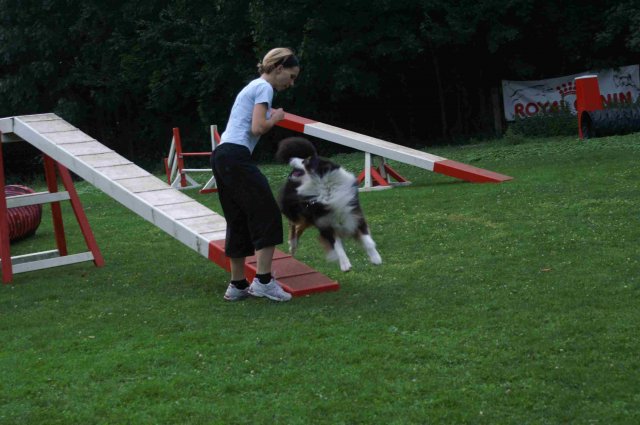 agility 2011-09-20