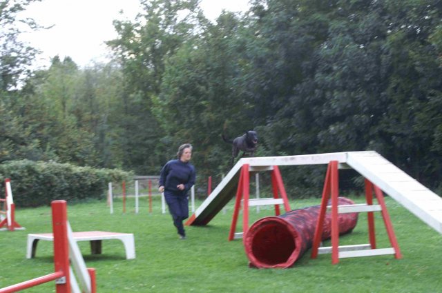 agility 2011-09-20