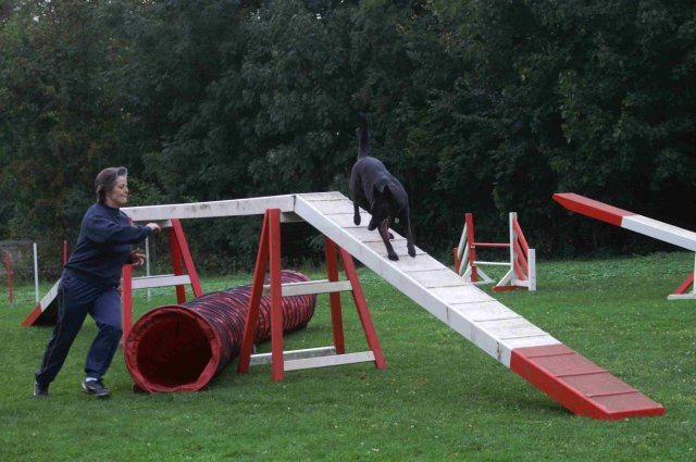 agility 2011-09-20
