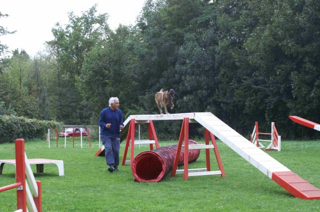 agility 2011-09-20