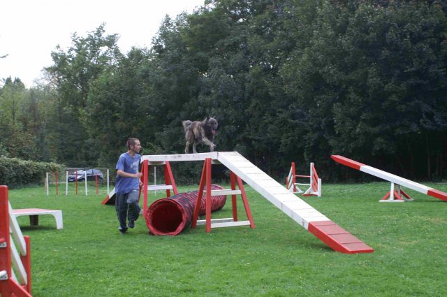 agility 2011-09-20