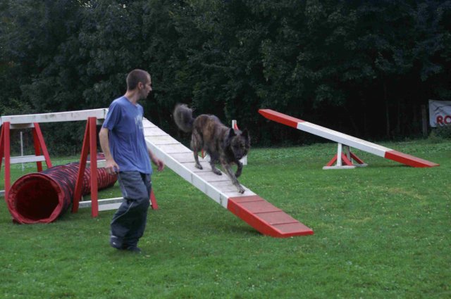 agility 2011-09-20