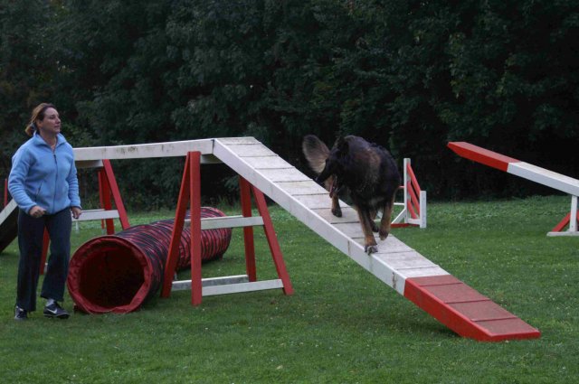 agility 2011-09-20