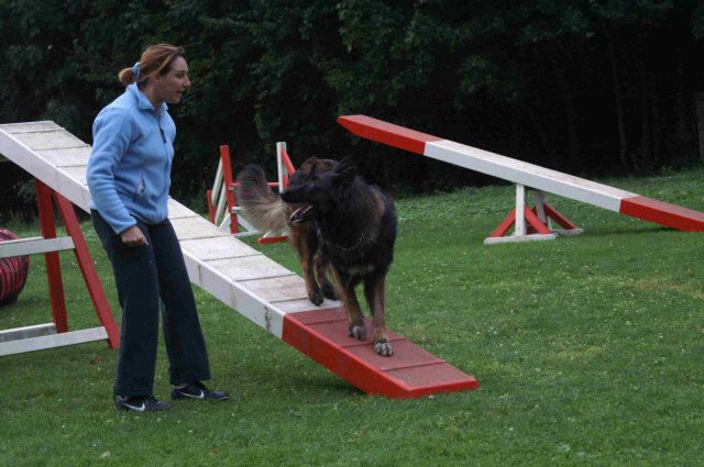 agility 2011-09-20