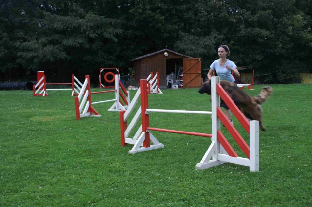 agility 2011-09-20