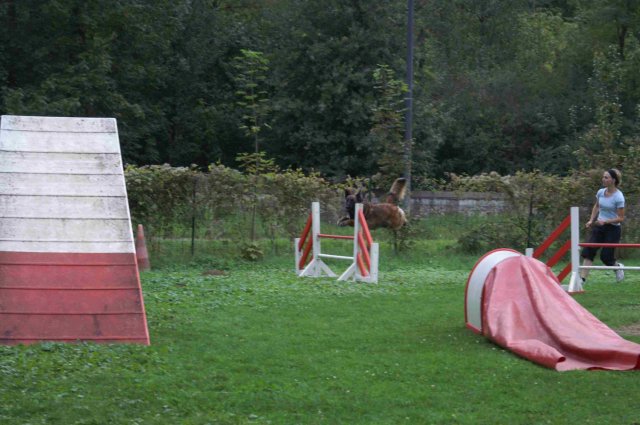 agility 2011-09-20