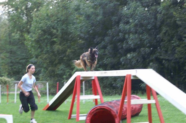 agility 2011-09-20