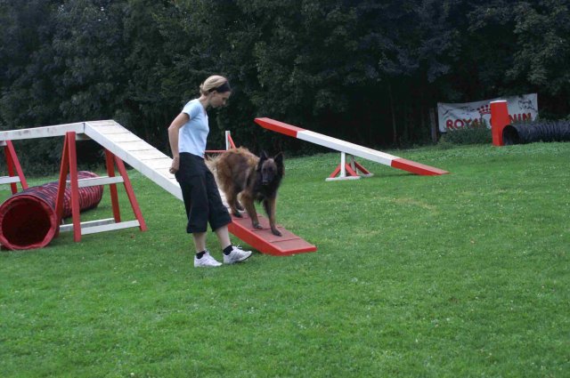 agility 2011-09-20