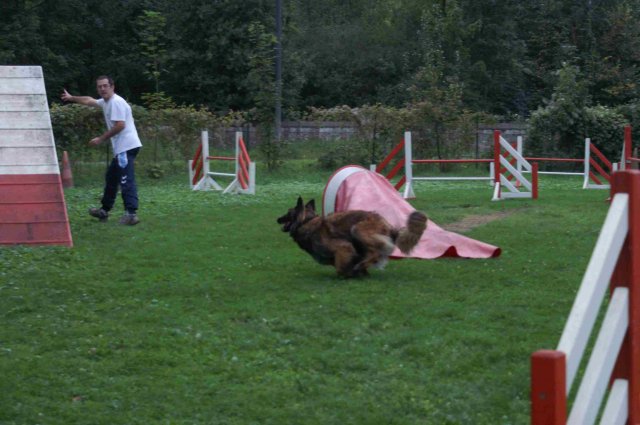 agility 2011-09-20
