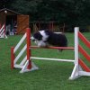 agility 2011-09-20