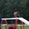 agility 2011-09-20