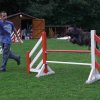 agility 2011-09-20