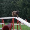 agility 2011-09-20