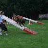 agility 2011-09-20