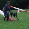 agility 2011-09-20