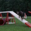 agility 2011-09-20