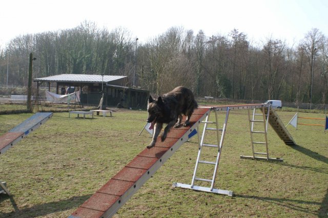 agilty 2013-03-03