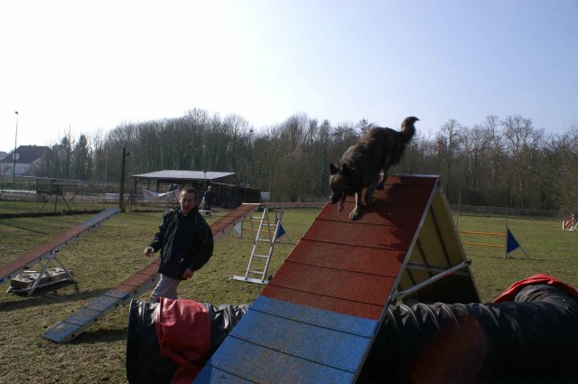 agilty 2013-03-03