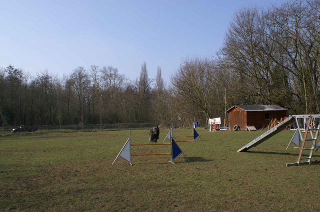 agilty 2013-03-03