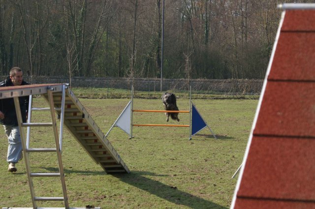 agilty 2013-03-03